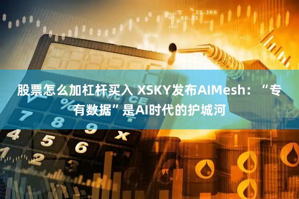 股票怎么加杠杆买入 XSKY发布AIMesh：“专有数据”是AI时代的护城河