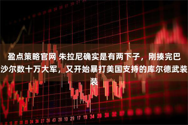 盈点策略官网 朱拉尼确实是有两下子，刚揍完巴沙尔数十万大军，又开始暴打美国支持的库尔德武装