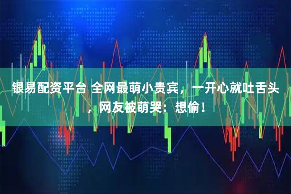 银易配资平台 全网最萌小贵宾，一开心就吐舌头，网友被萌哭：想偷！